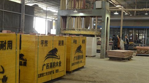 柳州建筑模板供应商-黑豹木业