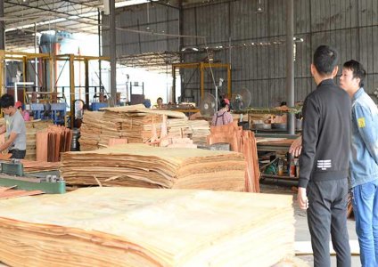 是什么原因导致建筑模板的价格上涨?